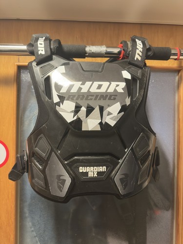 Thor guardian protektor - thor, /